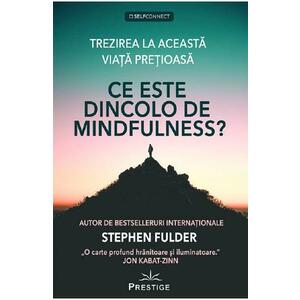 Ce este dincolo de Mindfulness? - Stephen Fulder imagine