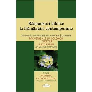 Raspunsuri biblice la framantari contemporane - Andrei Dragulinescu imagine
