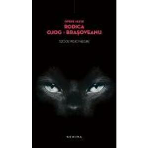 320 de pisici negre (hardcover) imagine
