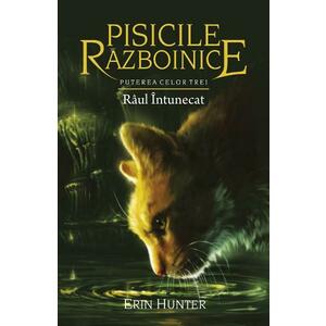 Pisicile Razboinice Vol.14: Raul intunecat - Erin Hunter imagine
