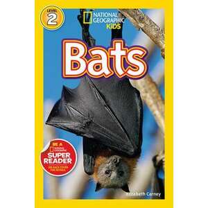 Bats imagine
