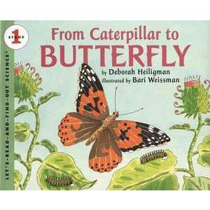From Caterpillar to Butterfly Big Book imagine