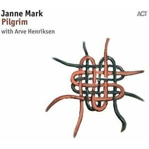Pilgrim | Janne Mark imagine