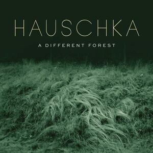 A Different Forest | Hauschka imagine