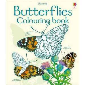 Butterflies to colour imagine
