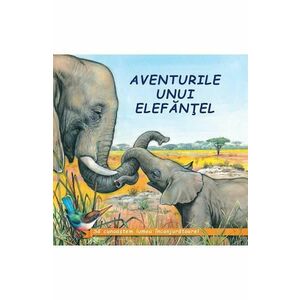 Aventurile unui elefantel - Sa cunoastem lumea inconjuratoare! imagine