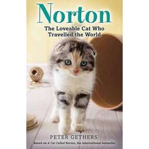 Norton, the Loveable Cat Who Travelled the World imagine