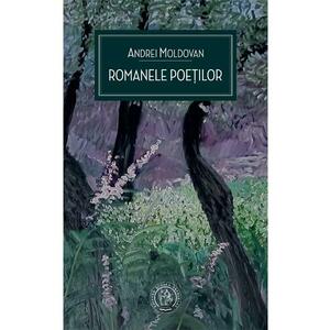 Romanele poetilor - Andrei Moldovan imagine