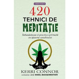 420 tehnici de meditatie - Kerri Connor imagine