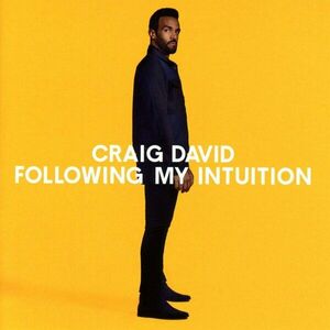 Following My Intuition | Craig David imagine