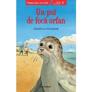 Un pui de foca orfan. Poveste cu pictograme (Nivelul 1) imagine