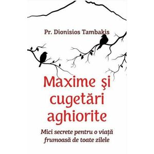Maxime si cugetari aghiorite - Pr. Dionisios Tambakis imagine