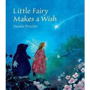 Little Fairy Makes a Wish imagine