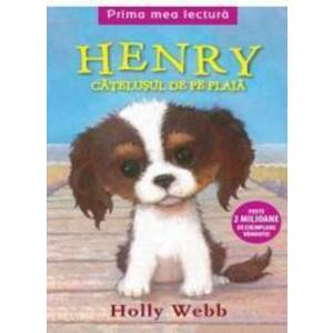 Henry catelusul de pe plaja - Holly Webb imagine