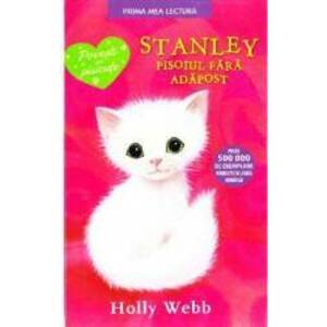 Stanley pisoiul fara adapost - Holly Webb imagine