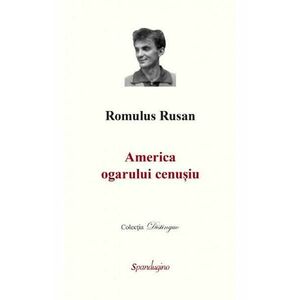 America ogarului cenusiu - Romulus Rusan imagine