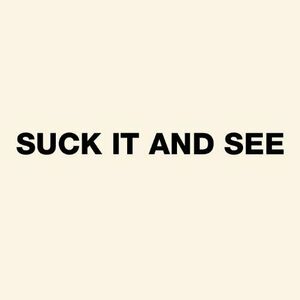Suck It And See - Vinyl | Arctic Monkeys imagine