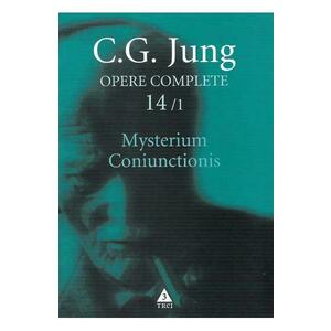 Opere complete 14/1: Mysterium Coniunctionis - C. G. Jung imagine