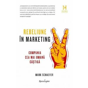Rebeliune in marketing - Mark Schaefer imagine