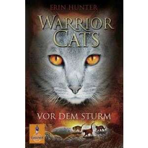 Warrior Cats Staffel 1/04. Vor dem Sturm imagine