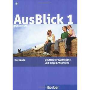 AusBlick 1 Brueckenkurs. Kursbuch imagine