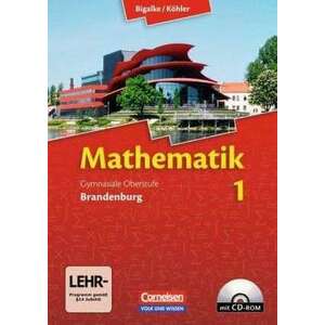 Mathematik Sekundarstufe II - Brandenburg - Neubearbeitung 2012 / Band 1 - Schuelerbuch mit CD-ROM imagine