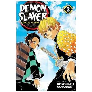 Demon Slayer: Kimetsu no Yaiba Vol.3 - Koyoharu Gotouge imagine