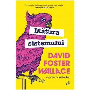 Matura sistemului - David Foster Wallace imagine