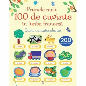 Primele 100 De Cuvinte In Limba Franceza. Carte Cu Autocolante imagine