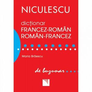 Dictionar de buzunar francez-roman/roman-francez - Maria Braescu imagine