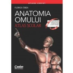 Atlas scolar anatomia omului 2017 Editie Revizuita - Florica Tibea imagine