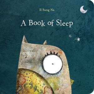 A Book of Sleep imagine