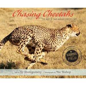 Chasing Cheetahs imagine