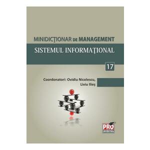 Minidictionar De Management 17: Sistemul Informational - Ovidiu Nicolescu imagine