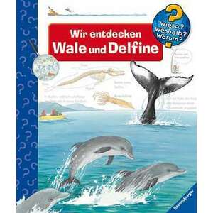 Wir entdecken Wale und Delfine imagine