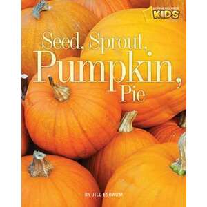 Seed, Sprout, Pumpkin, Pie imagine