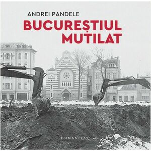 Andrei Pandele imagine