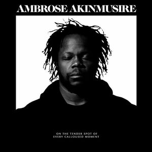 On The Tender Spot Of Every Calloused Moment | Ambrose Akinmusire imagine