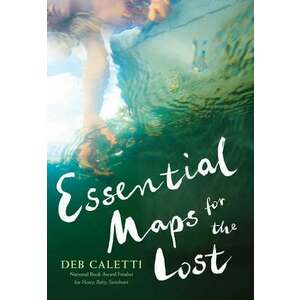Essential Maps for the Lost imagine
