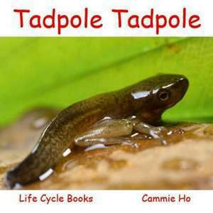 Tadpoles and Frogs imagine