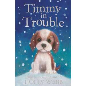 Timmy in Trouble imagine