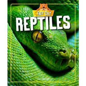 Reptiles imagine