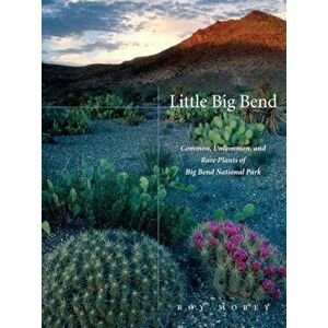 Little Big Bend: Common, Uncommon, and Rare Plants of Big Bend National Park, Paperback - Roy Morey imagine
