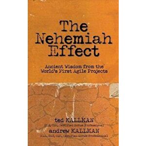 The Nehemiah Effect, Paperback - Pmp Csm Csp Kallman imagine
