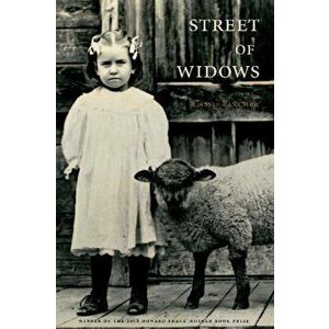 Street of Widows, Paperback - Cassie Fancher imagine