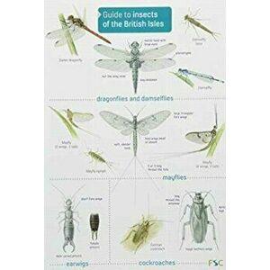 Guide to Insects of the British Isles - Richard Lewington imagine