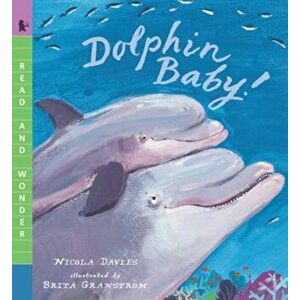 Dolphin Baby!, Paperback - Nicola Davies imagine
