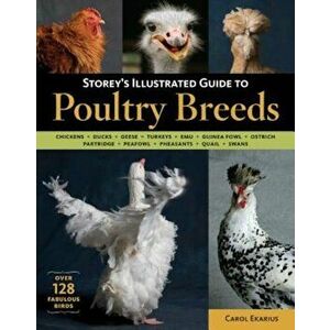Storey's Illustrated Guide to Poultry Breeds: Chickens, Ducks, Geese, Turkeys, Emus, Guinea Fowl, Ostriches, Partridges, Peafowl, Pheasants, Quails, S imagine