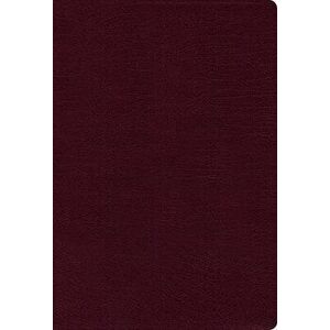 Nasb, Thinline Bible, Large Print, Bonded Leather, Burgundy, Red Letter Edition, 1995 Text, Thumb Indexed, Comfort Print - *** imagine