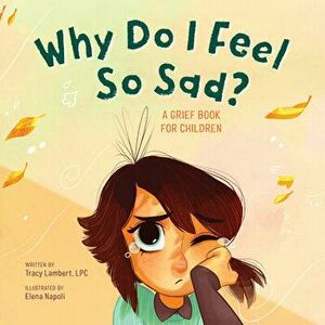 Why Do I Feel So Sad?: A Grief Book for Children, Paperback - Lpc Lambert-Prater, Tracy imagine